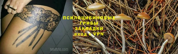 СК Корсаков