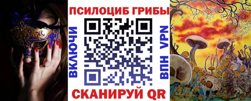 Псилоцибиновые грибы прущие грибы  Купить где  Хвалынск 